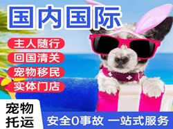 张家界国际宠物托运 【国